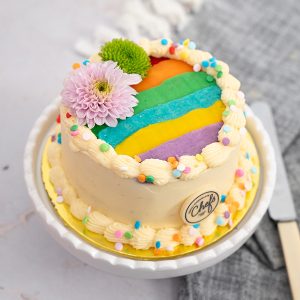 Rainbow Lunchbox Cake